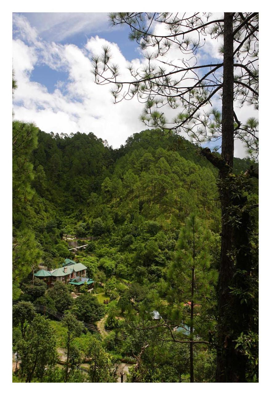 Saffronstays Himalaica, Nainital Bhowali Εξωτερικό φωτογραφία